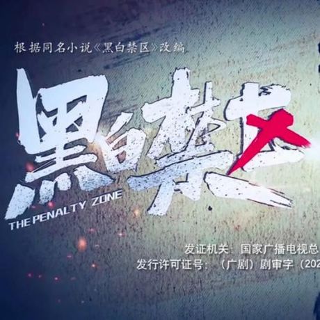 《黑白禁区》：深刻反映历史与探讨人性的佳作