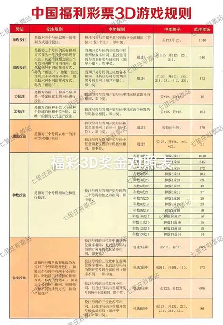 3d规则，3D规则解析与应用