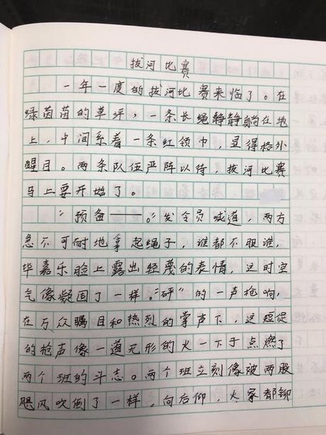 点面结合的小练笔100字