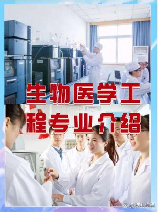 生物医学工程是干什么的