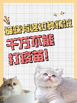 为什么好多人被猫抓不打疫苗，为什么这么多人不给猫打疫苗呢？