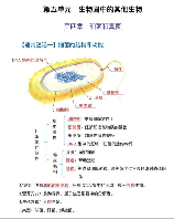 酵母菌的结构，了解酵母菌的结构