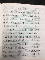 点面结合的小练笔100字